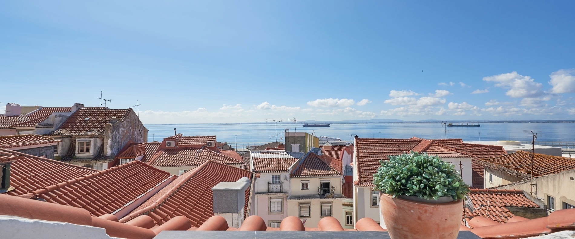 a potted plant sits on a balcony overlooking a body of water