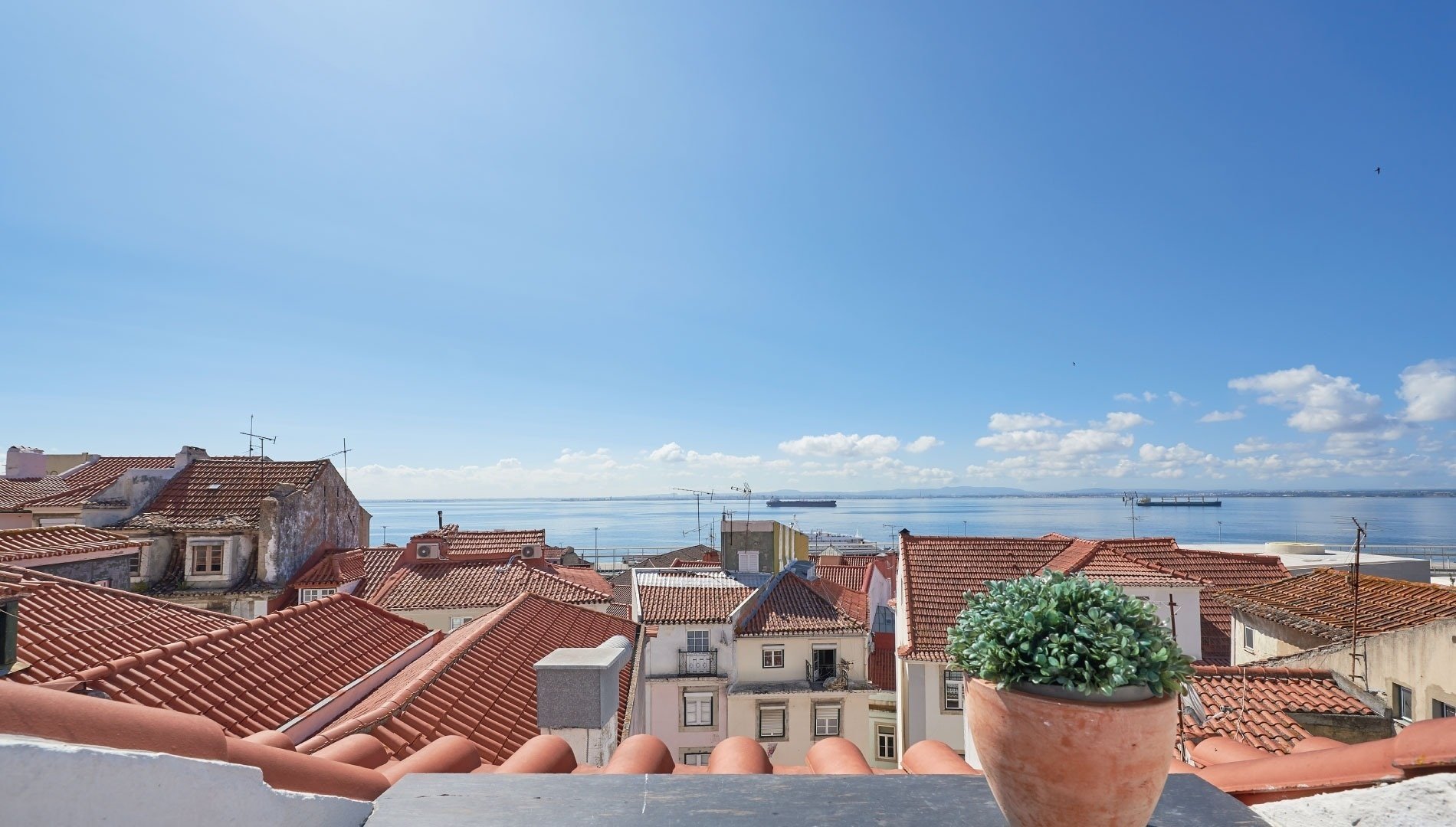 a potted plant sits on a balcony overlooking the ocean