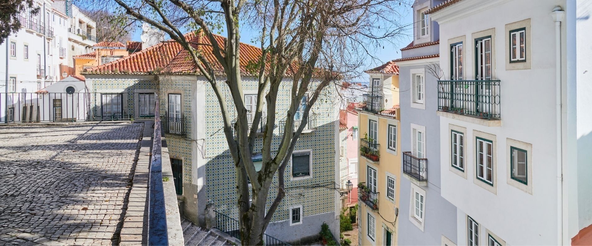 a row of buildings with a tree in the middle