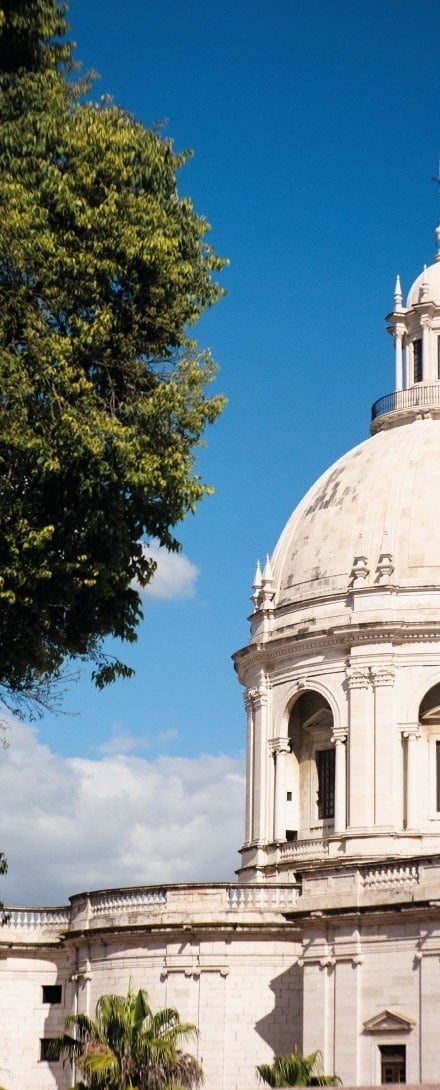 una iglesia con una cúpula blanca y un árbol en primer plano