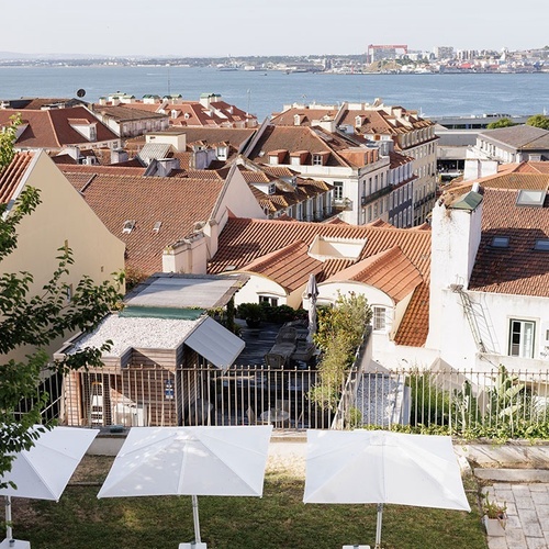 a row of white umbrellas sit on a lush green lawn