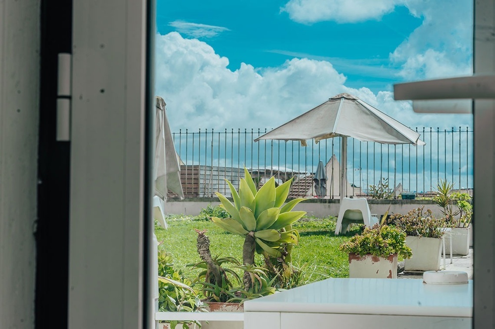 uma vista de um jardim com plantas e um guarda-chuva