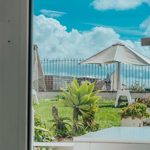 a view of a garden with a white umbrella