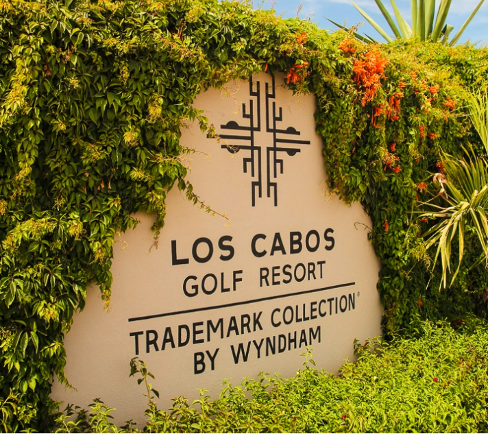 un patio con palmeras y una fuente de agua