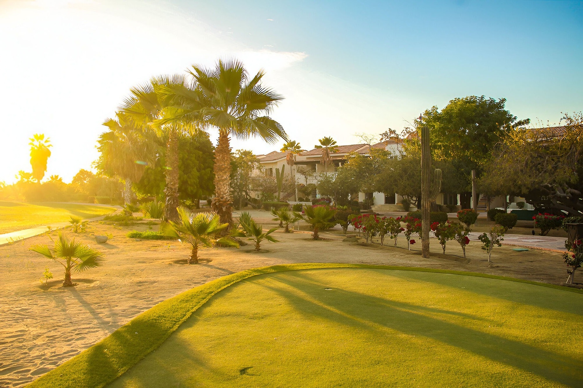 Un putting green de golf con palmeras y edificios de estilo resort al fondo, bañado por la cálida luz dorada del atardecer o amanecer.