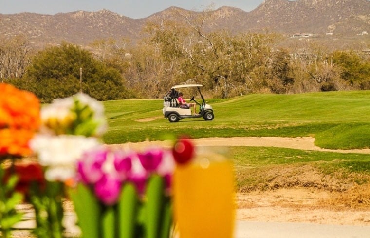 un patio con palmeras y una fuente de agua
