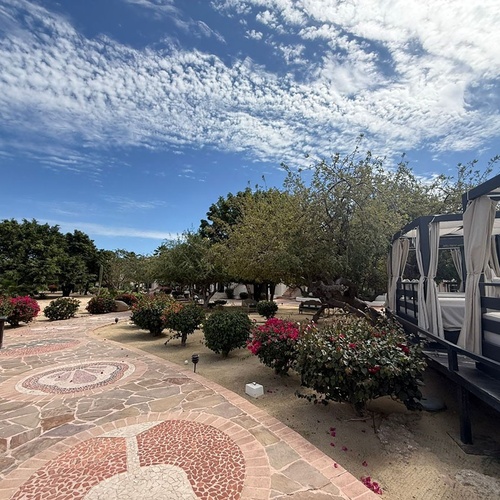 Un sendero empedrado con mosaicos serpentea a través de un jardín exuberante con arbustos floridos y cabañas al aire libre, bajo un cielo azul salpicado de nubes.