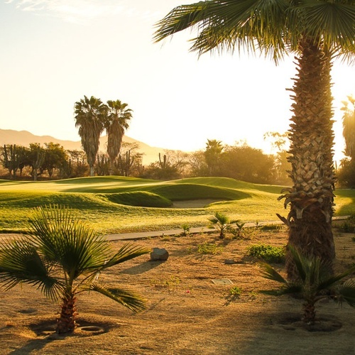 Un campo de golf con palmeras y montañas al fondo es bañado por la cálida luz del sol al amanecer o atardecer.