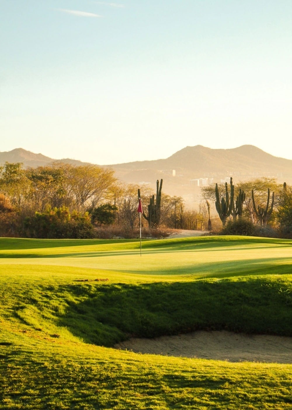una vista aérea de un complejo de apartamentos junto al océano