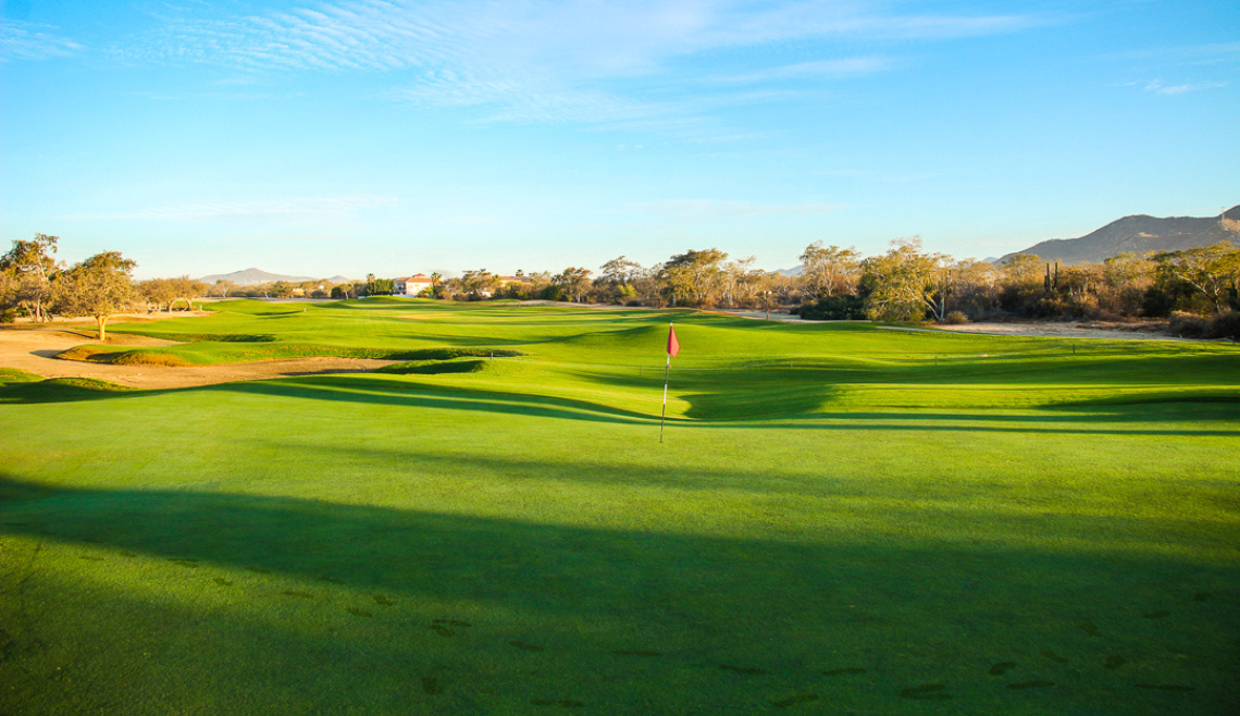 un hombre y una mujer andan en bicicleta por un camino