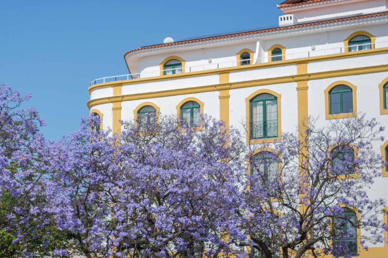 Loulé Jardim Hotel=s1900