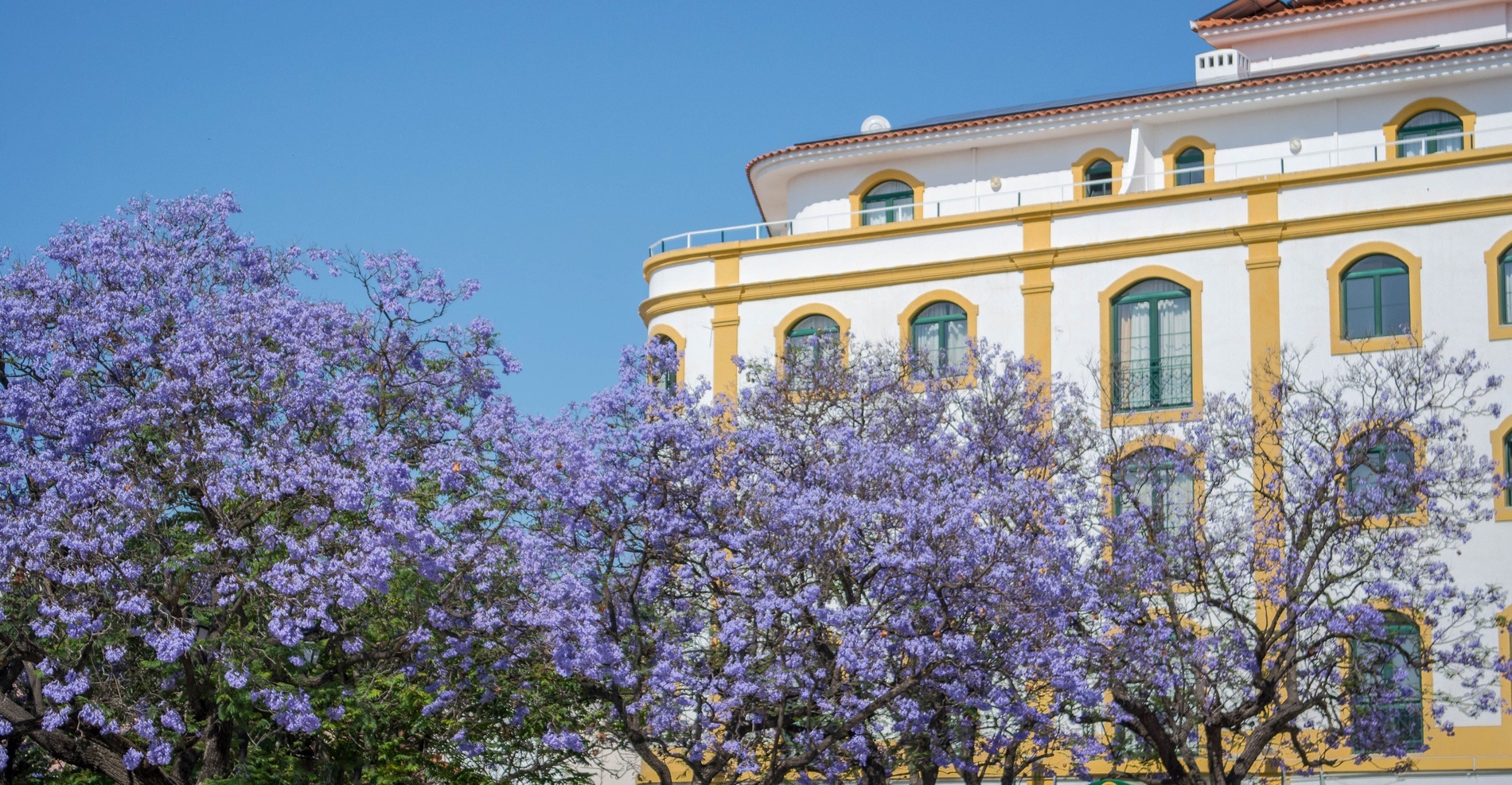 Loulé Jardim Hotel