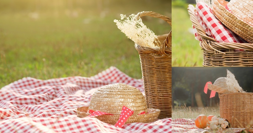 Luna Hotels & Resorts | Web Oficial - PICNIC REGIONAL