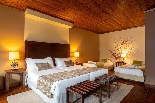 Um quarto de hotel acolhedor apresenta um teto de madeira, uma cama grande no primeiro plano e duas camas de solteiro no fundo, tudo em tons terrosos com um mural de árvore decorativo na parede.