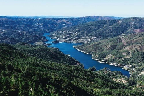 a large body of water surrounded by mountains and trees