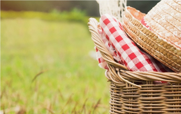Luna Hotels & Resorts | Web Oficial - REGIONAL PICNIC