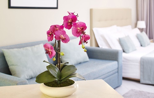 Luna Hotels & Resorts | Web Oficial