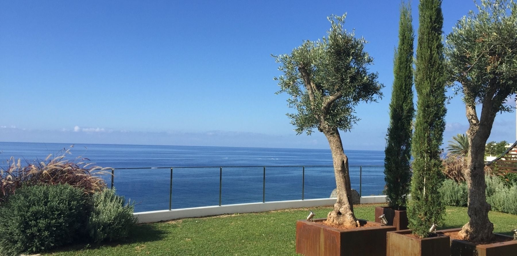 árvores em vasos com vista para o oceano