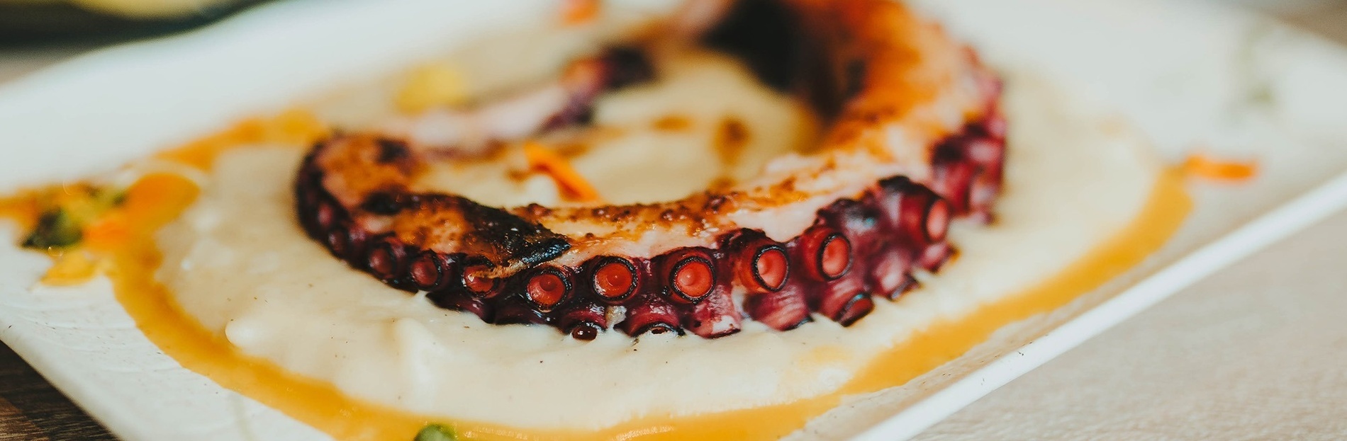 a close up of an octopus on a plate with mashed potatoes
