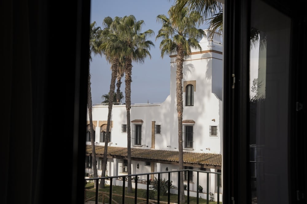 una vista de un edificio blanco y palmeras desde un balcón