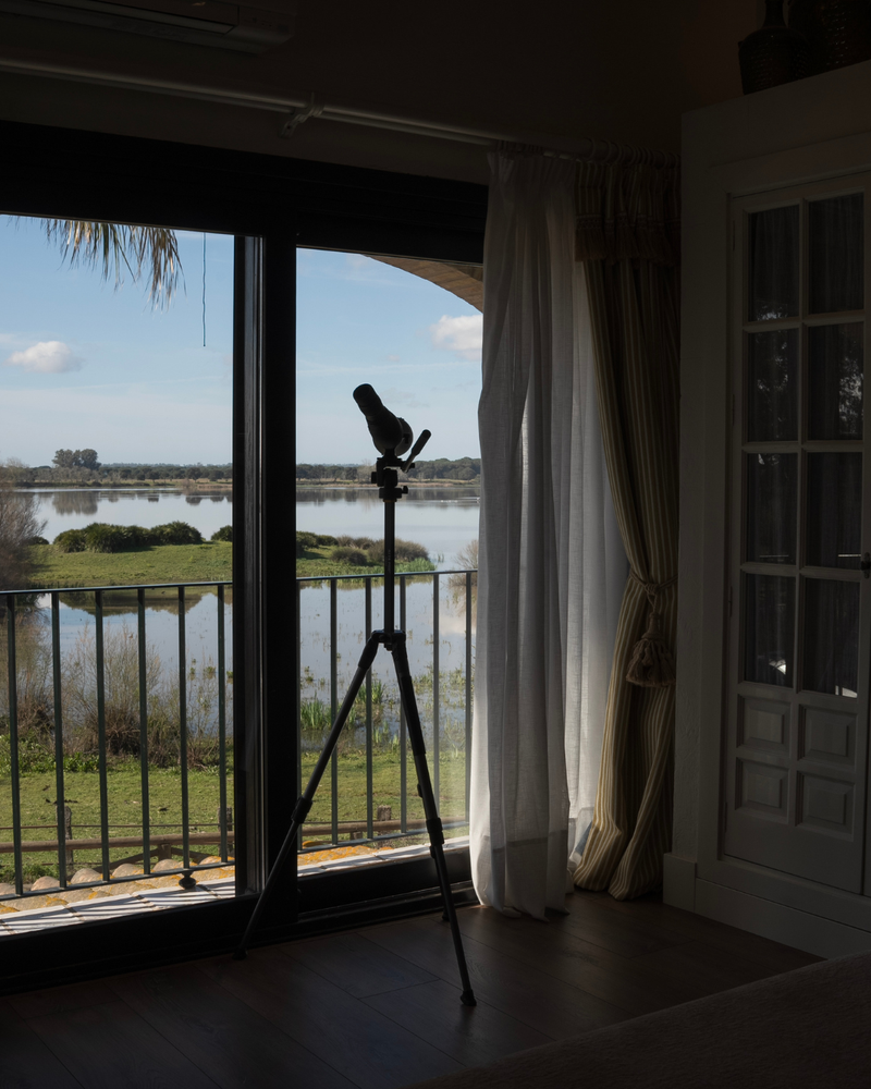 una habitación vistas a la marisma