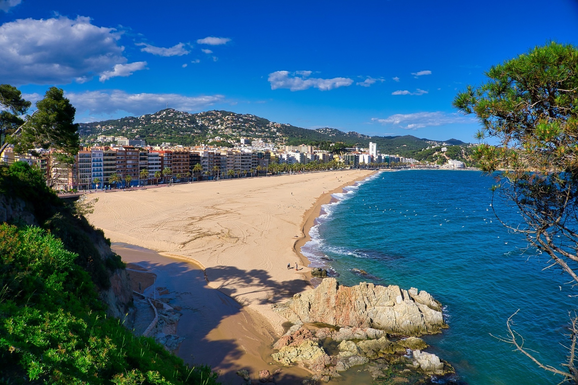 una playa de arena con edificios en el fondo