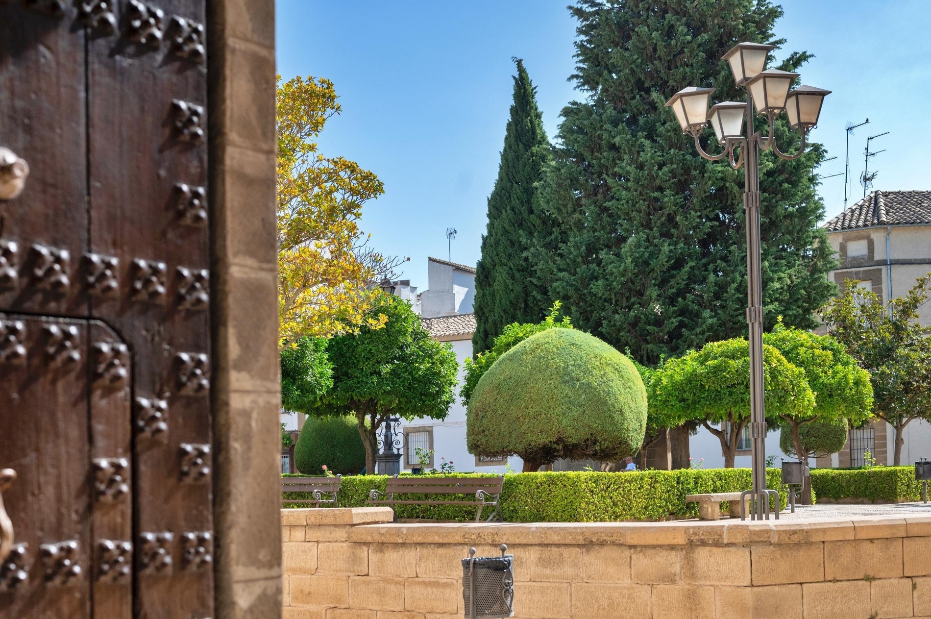 a park with trees and benches and a street light