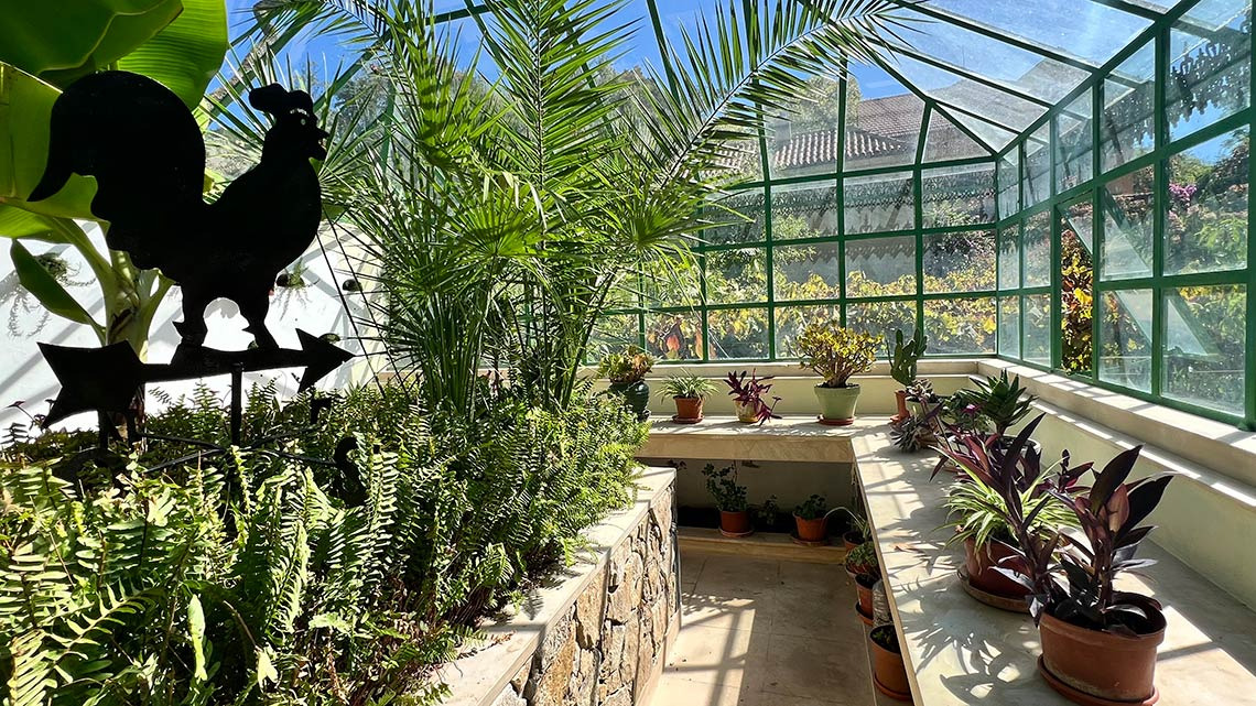 Marmoris: Corporative: Estufa de vidro com plantas exuberantes e galo decorativo, ideal para fotos únicas.