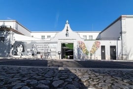 a white building with a painting of a woman on the side