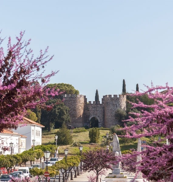 Marmòris Hotels