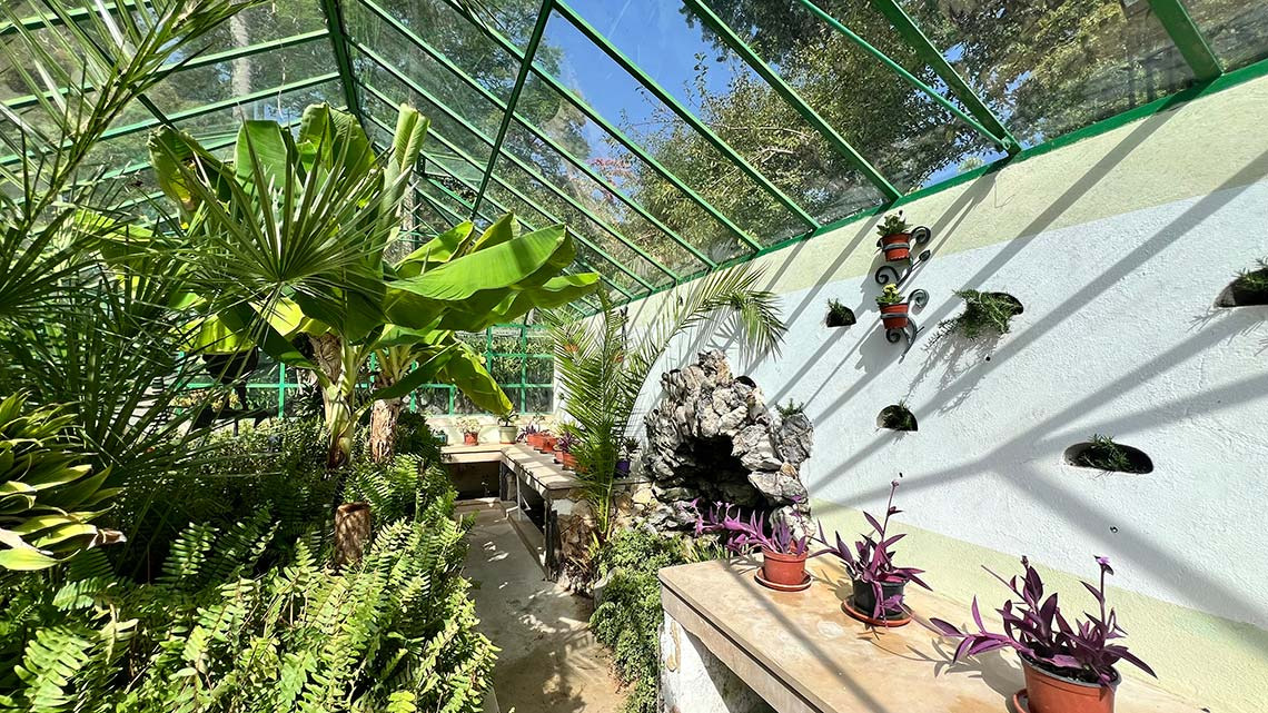 Marmoris: Corporative: estufa tropical com plantas exóticas e cascata artificial.