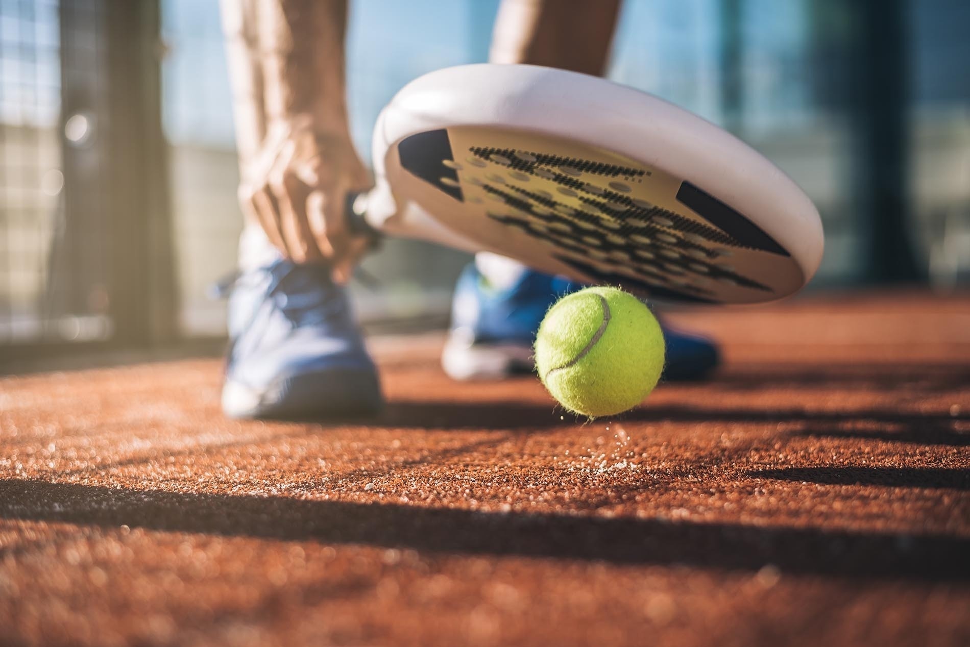 una persona sostiene una paleta y una pelota de tenis