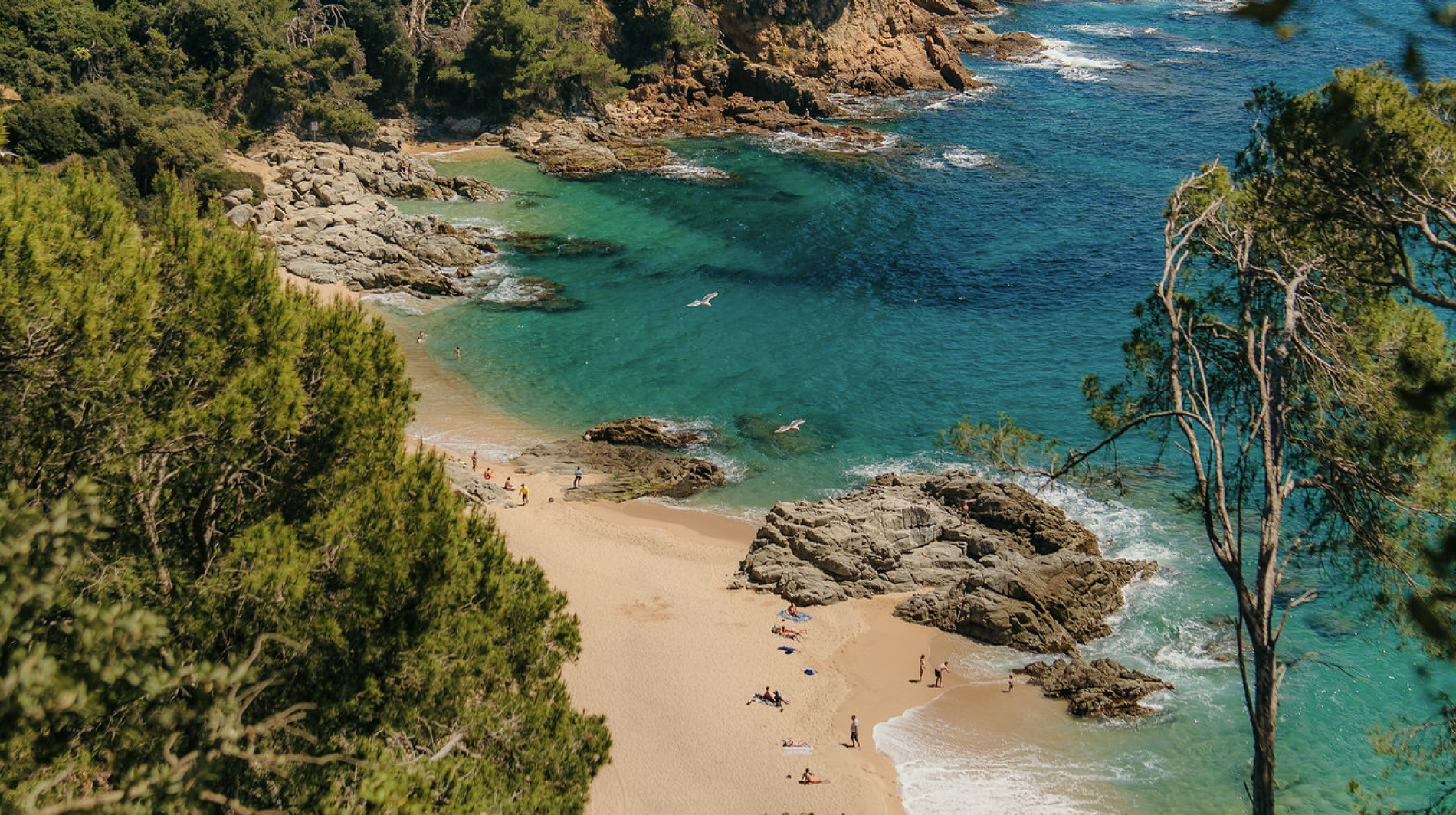 una persona amb un parasol camina per la platja