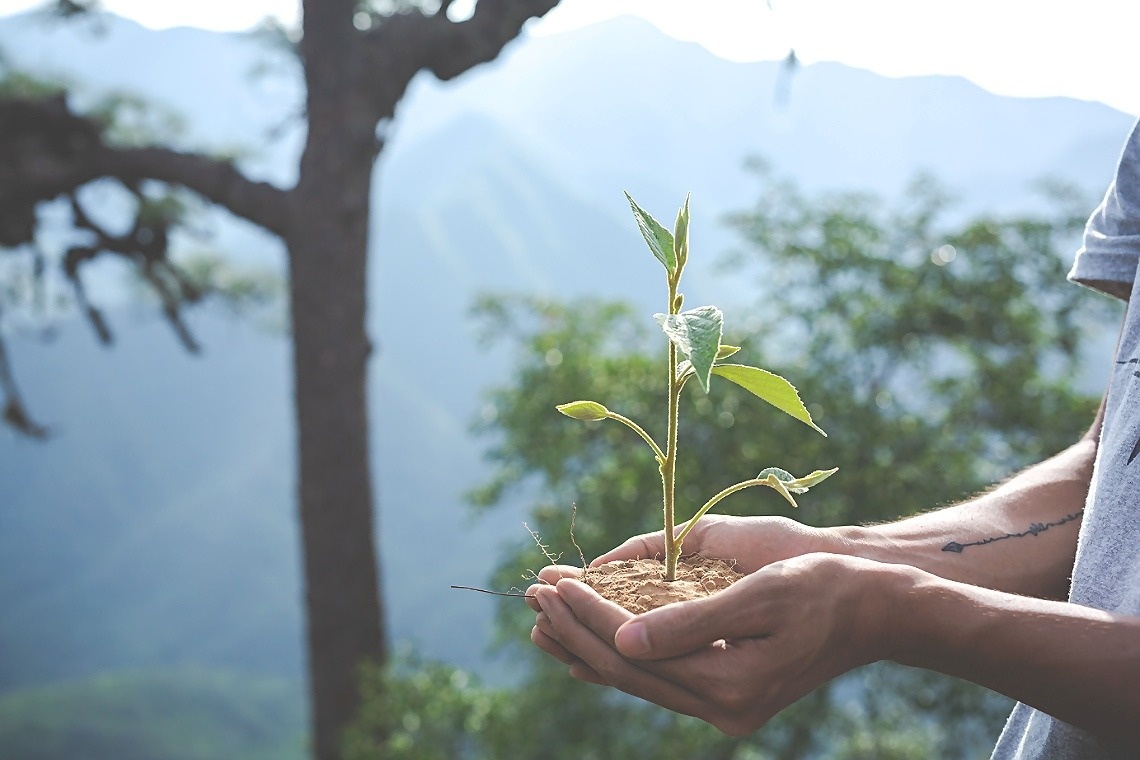 Unes mans sostenen un petit brot amb terra, amb un fons natural desenfocat de bosc i muntanyes.