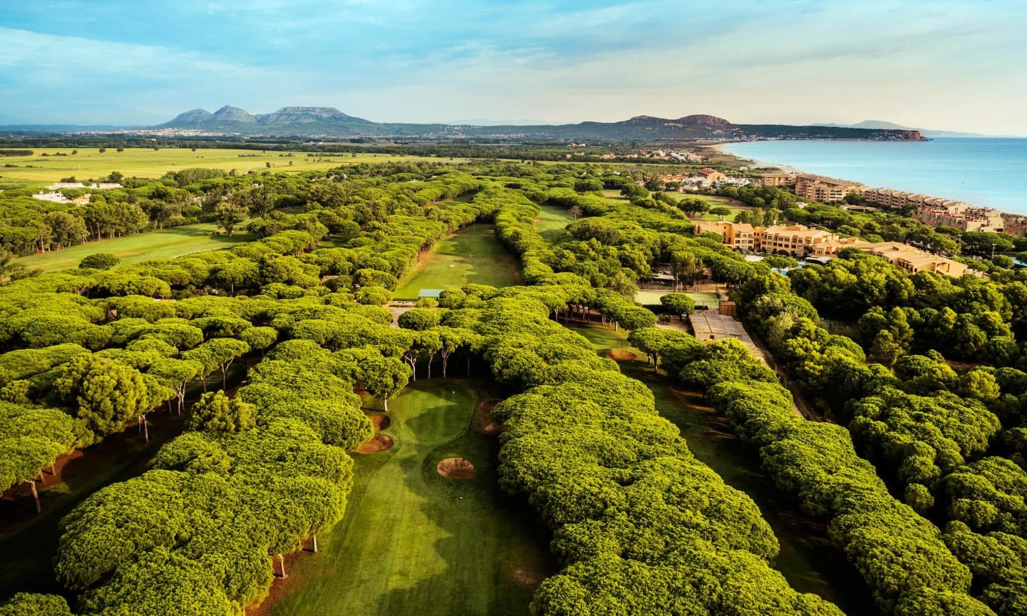eine Luftaufnahme eines Golfplatzes mit Bäumen umgeben