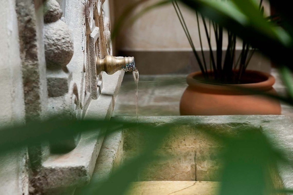 un primer plano de una fuente con una planta en el fondo