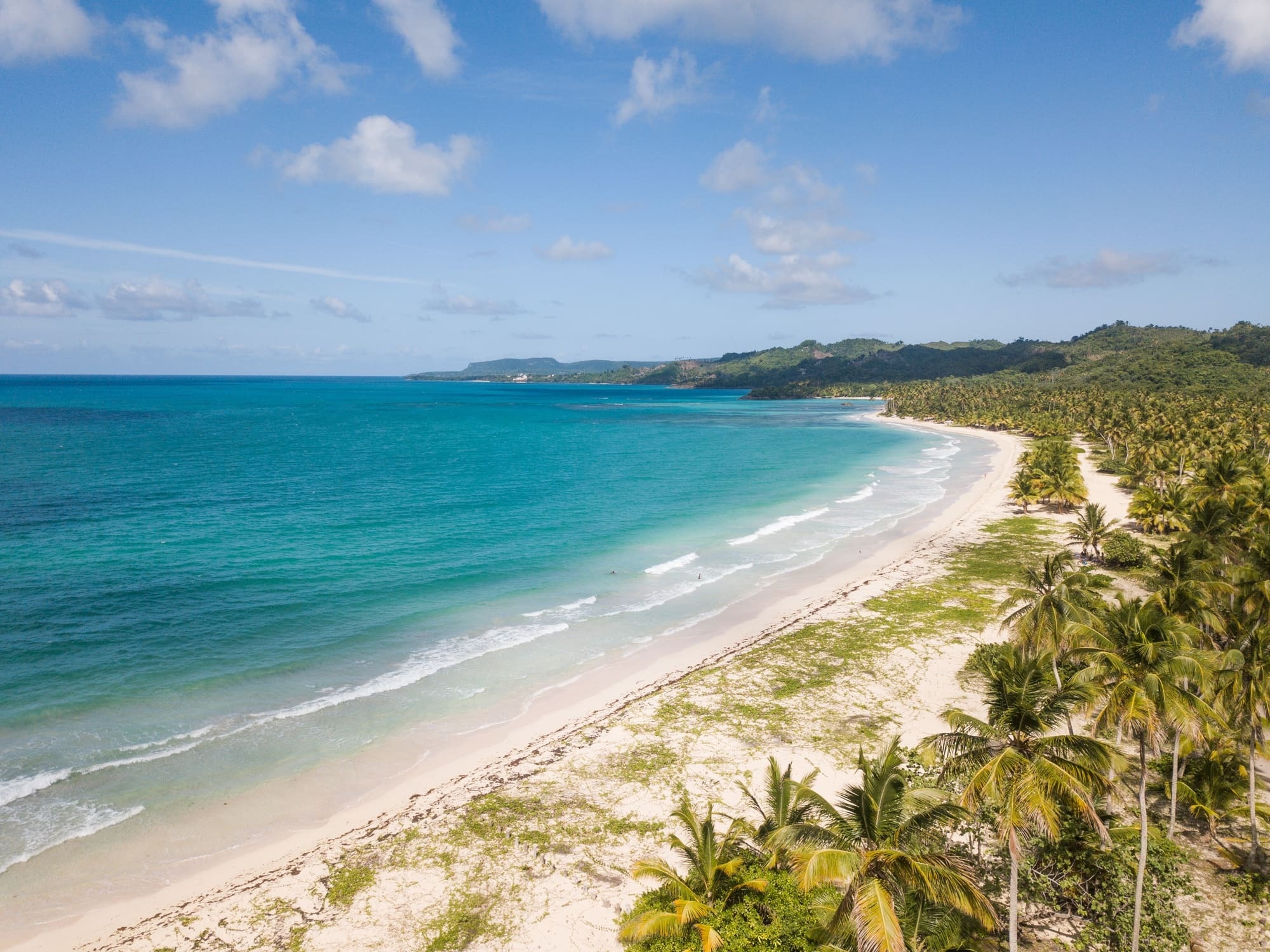 an aerial view of a tropical beach with palm trees