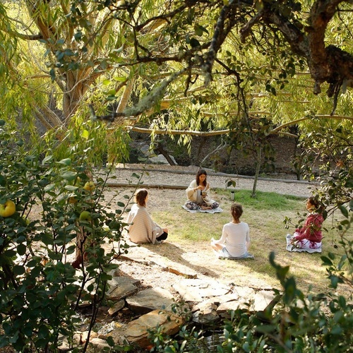 un grupo de personas están sentadas en un círculo en la hierba