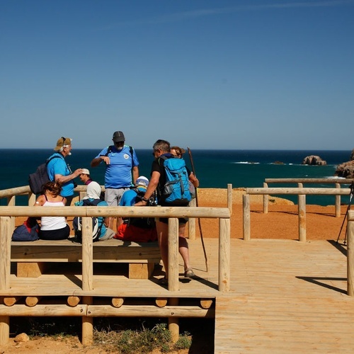 un grupo de personas se paran en una plataforma de madera con vistas al océano