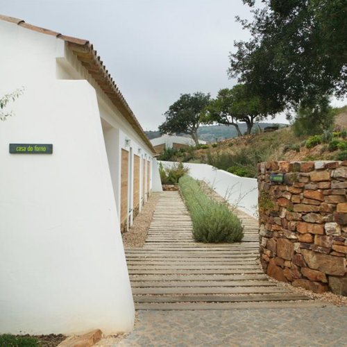 um caminho de madeira que leva a casa de flores