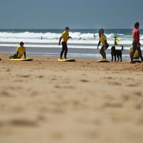 un grupo de surfistas y un perro en la playa