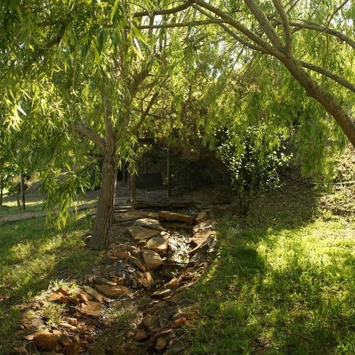 un arroyo a través de un bosque con árboles y rocas