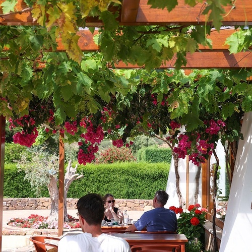 two people sit at a table under a pergola with pink flowers hanging from it