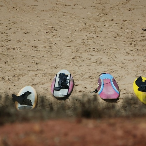 una fila de tablas de surf en la arena en la playa