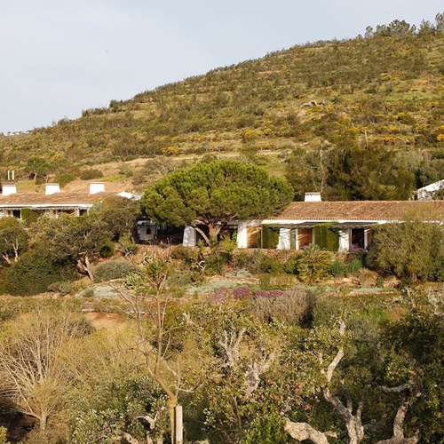 dos casas en una colina rodeada de árboles y arbustos
