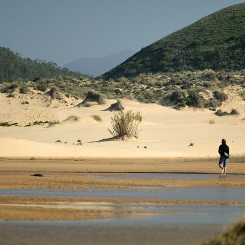 una persona camina por una playa con dunas de arena en el fondo