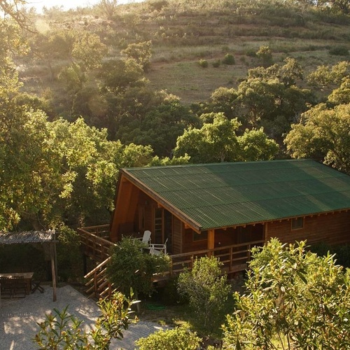 una cabaña de madera con techo verde está rodeada de árboles