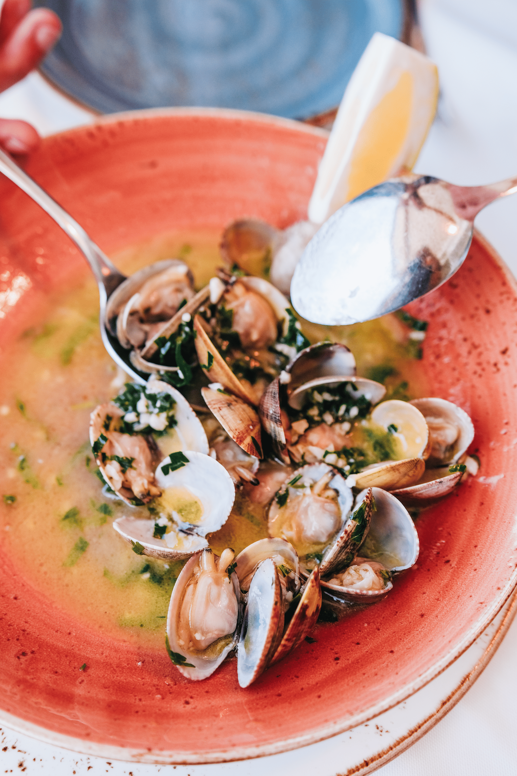a plate of clams with a spoon in it