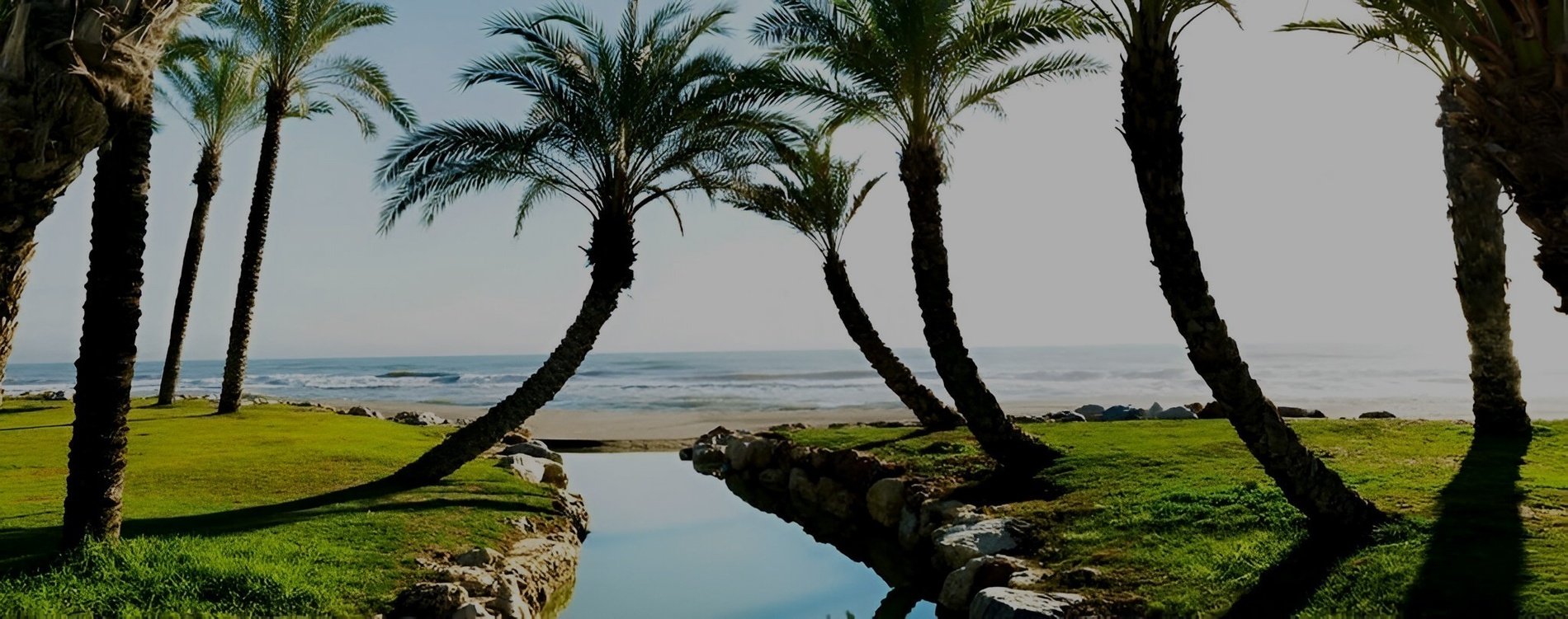 palmeras junto a un arroyo que conduce al océano