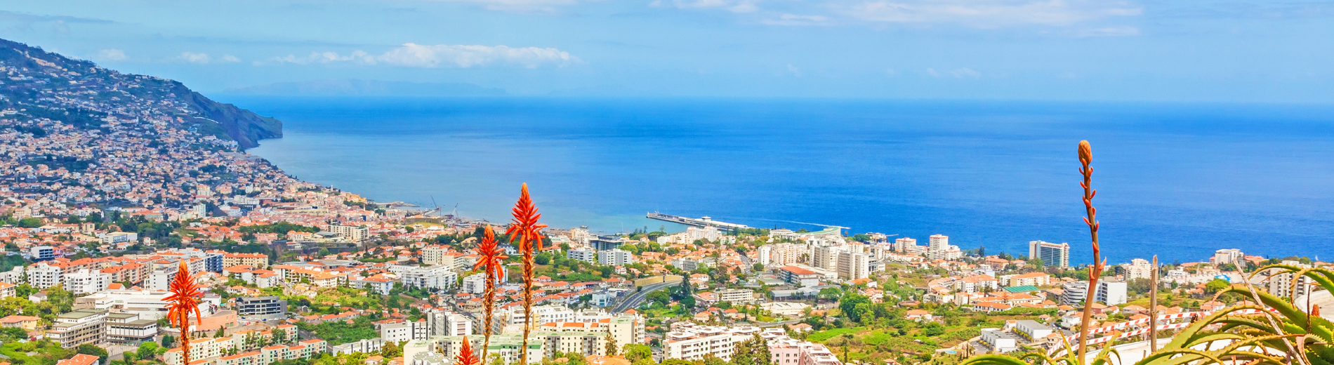 Scenic view of a coastal city with ocean and flora, Location | Moon & Sun Braga